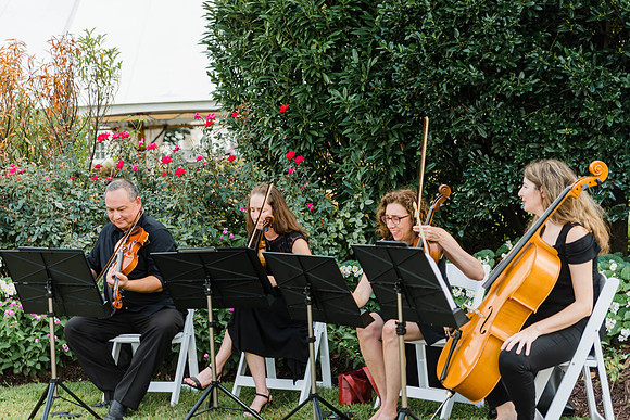 Grace & Xander: Wedding